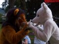 DSC_0002.jpg